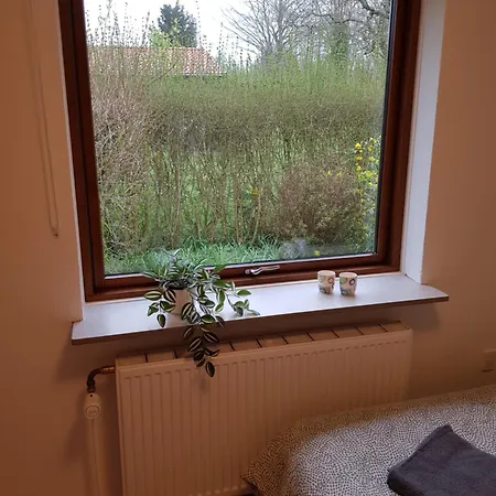 In - 500 M From Legohouse