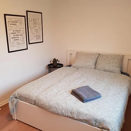 In - 500 M From Legohouse * Billund