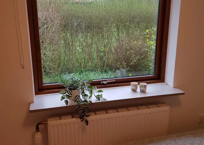 In - 500 M From Legohouse