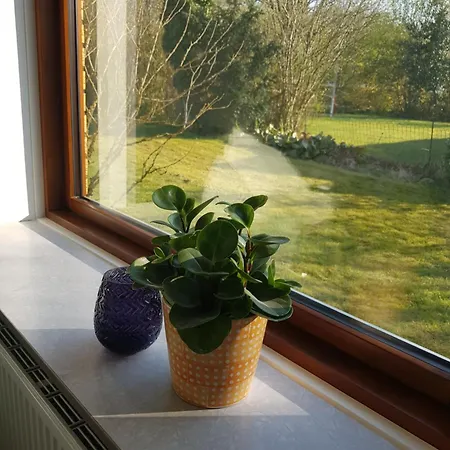 Appartement In - 500 M From Legohouse *