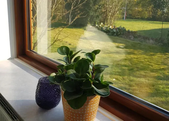 Lägenhet In - 500 M From Legohouse *